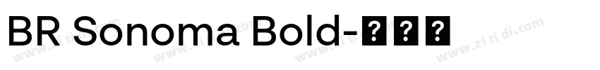BR Sonoma Bold字体转换 BR Sonoma Bold字体转换